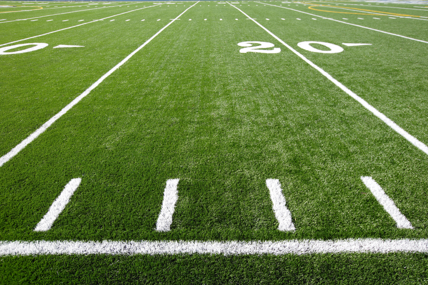 Playground Artificial Turf